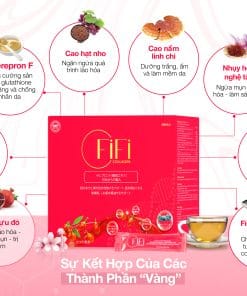 Thành phần trong FiFi Collagen Nội Sinh