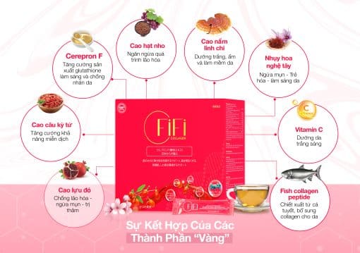 Thành phần trong FiFi Collagen Nội Sinh