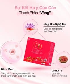 Collagen Nội Sinh FiFi