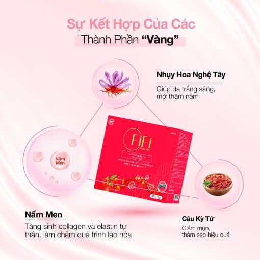 Collagen Nội Sinh FiFi